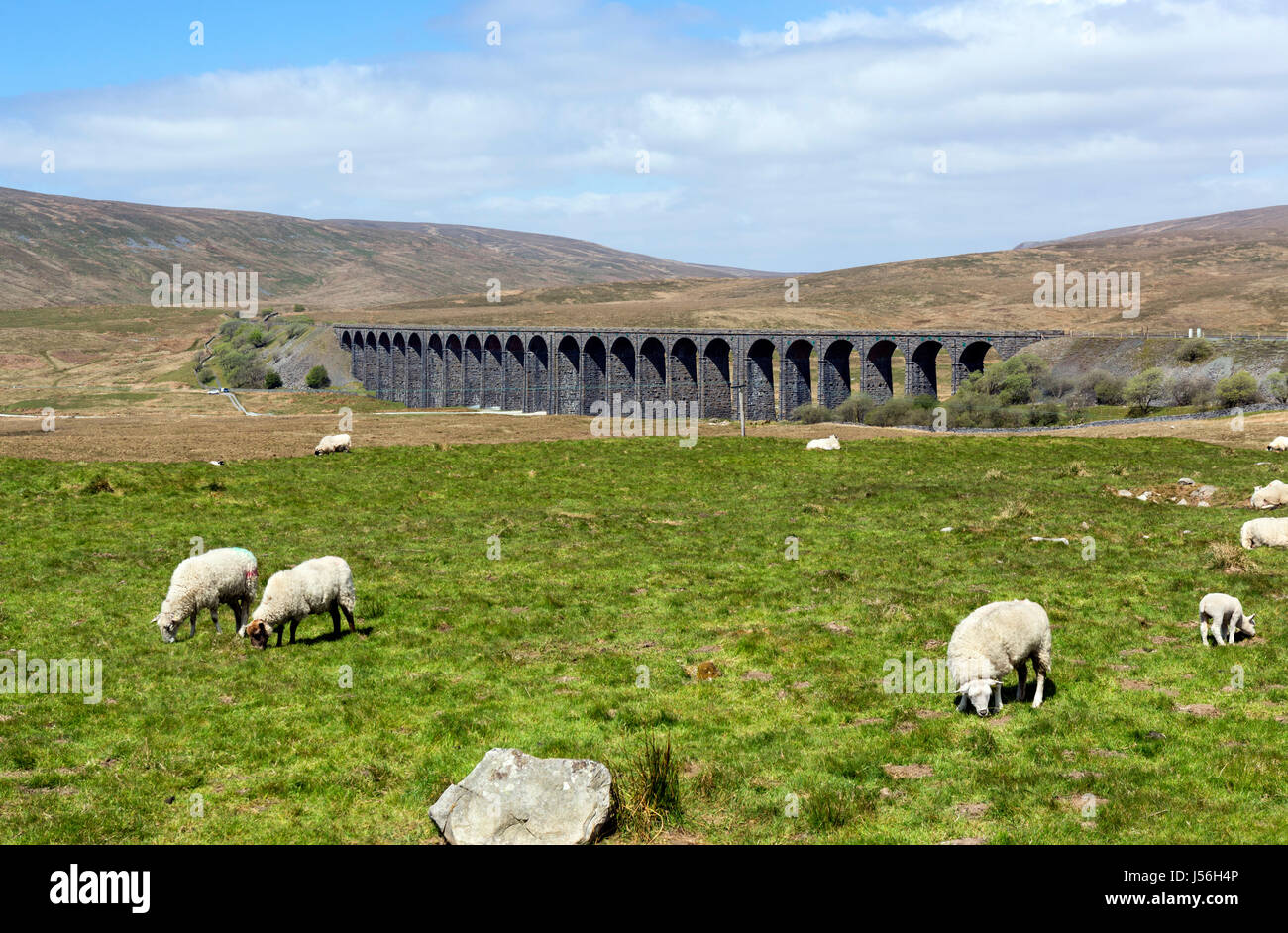 Ribblehead Viaduct, Yorkshire Dales National Park, North Yorkshire, England, UK Stock Photo