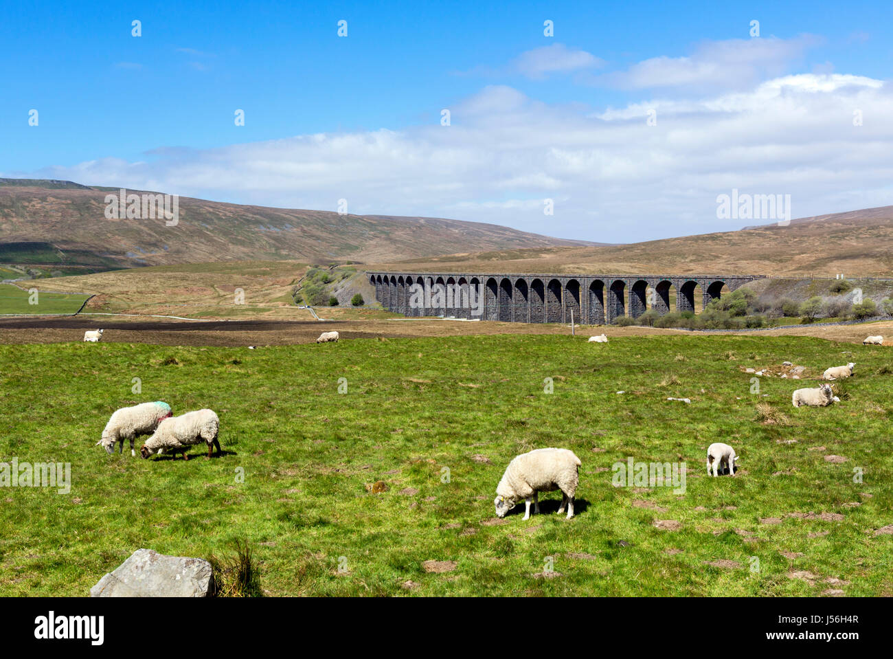 Ribblehead Viaduct, Yorkshire Dales National Park, North Yorkshire, England, UK Stock Photo