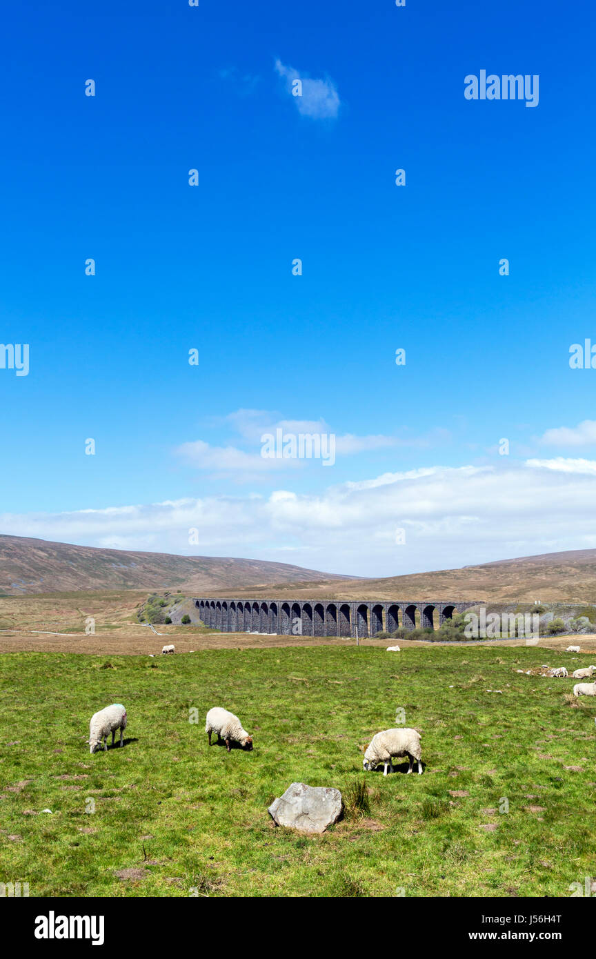 Ribblehead Viaduct, Yorkshire Dales National Park, North Yorkshire, England, UK Stock Photo
