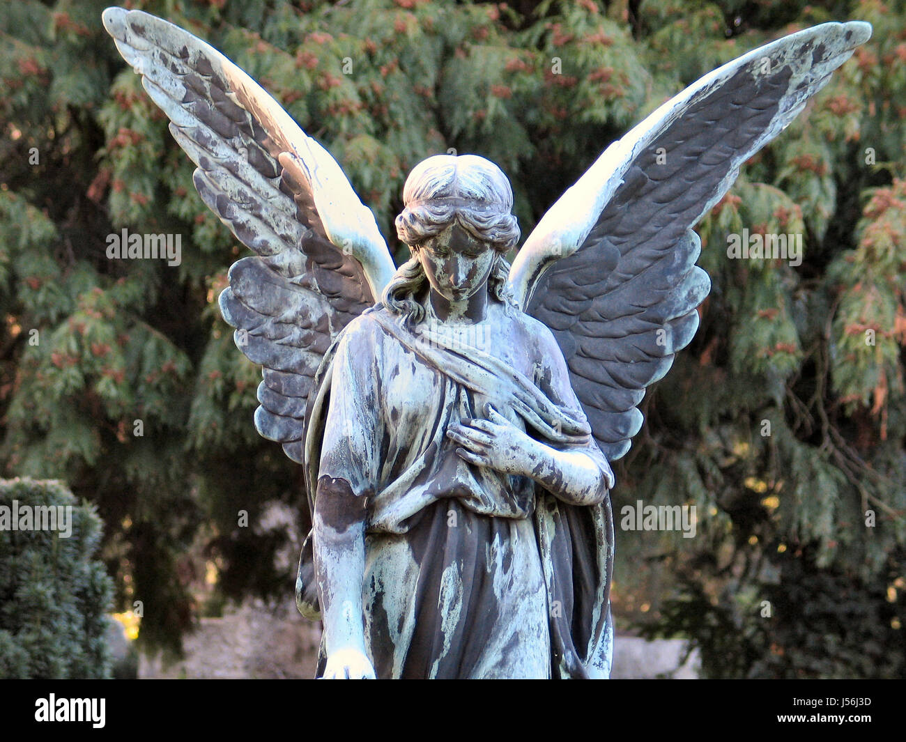 woman death die female portrait grace mourning sorrow mourn angel angels Stock Photo