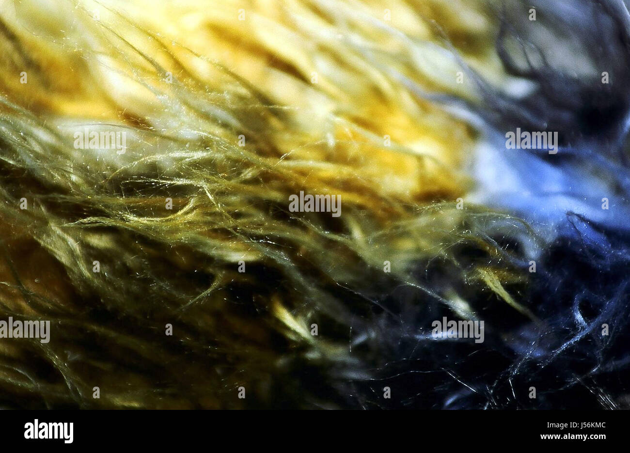 dust purify wool carpet fibres fibers vacuum cleaner floor covering