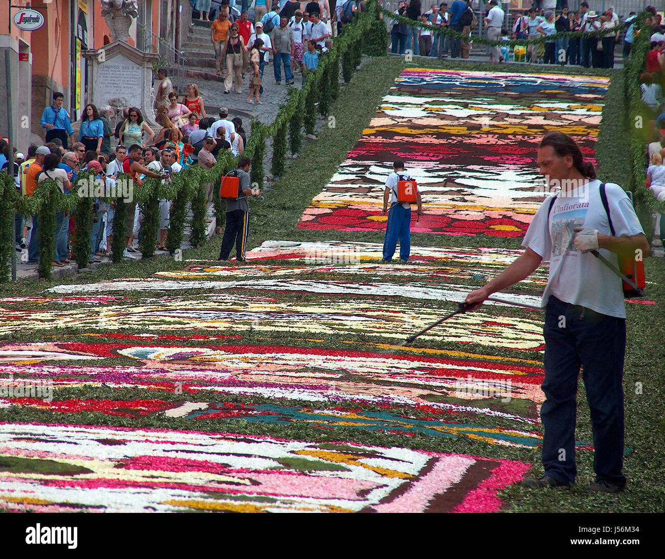 genzano flower festival Stock Photo Alamy