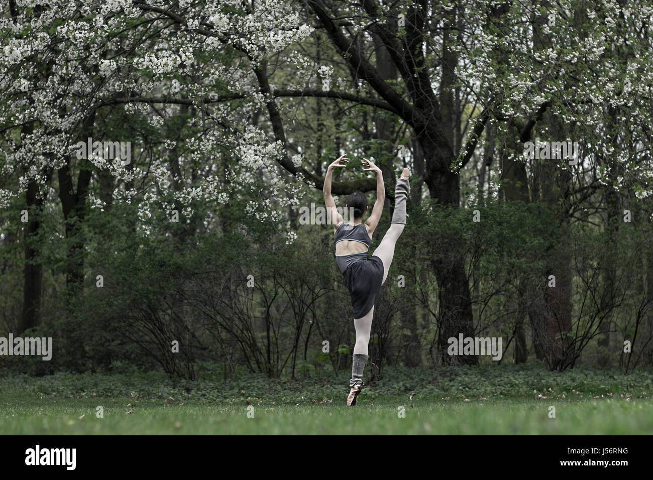Nature & Ballet Stock Photo