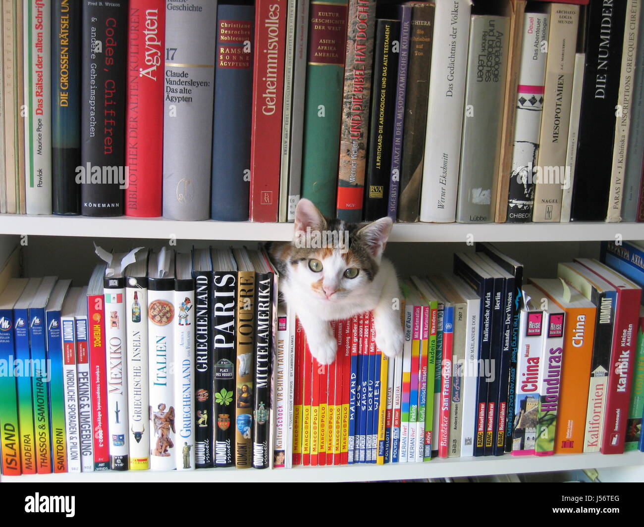 drops in the bookcase Stock Photo Alamy