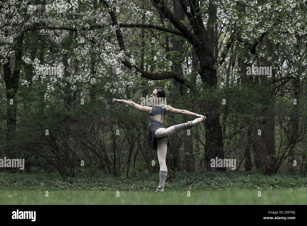 Nature and Ballet Stock Photo