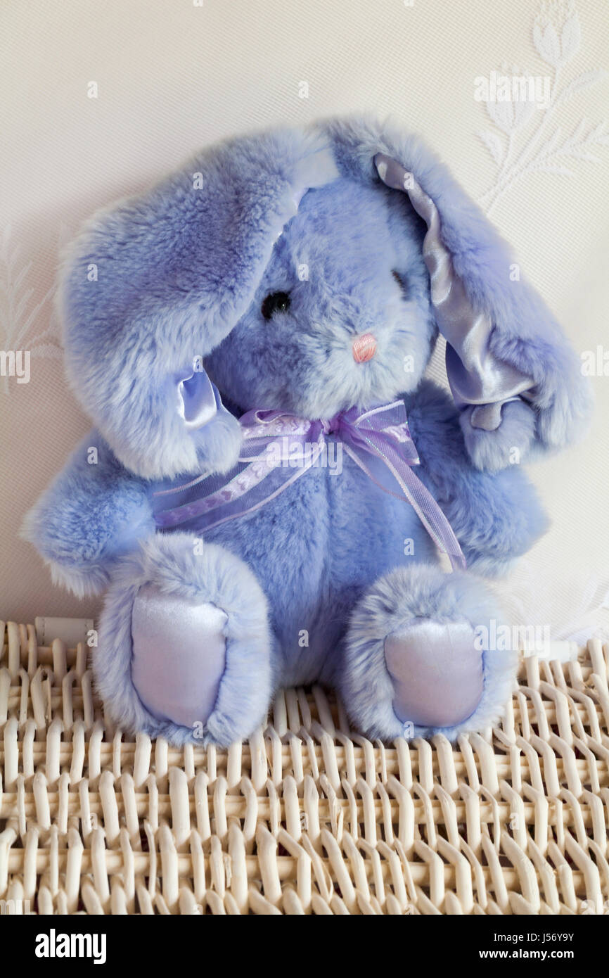 bunny rabbit cuddly toy