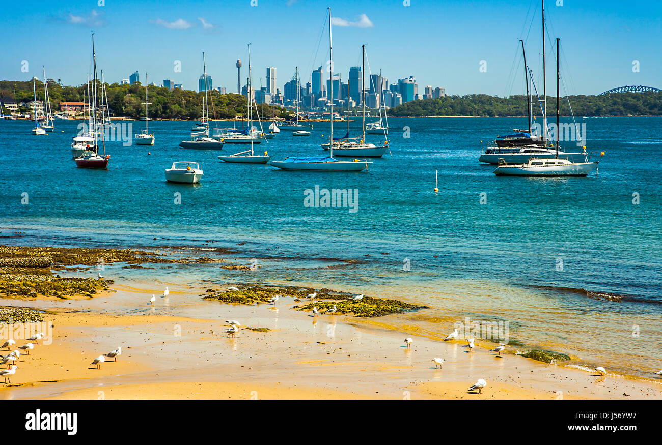 Camp Cove Beach in Sydney New South Wales Australia Stock Photo