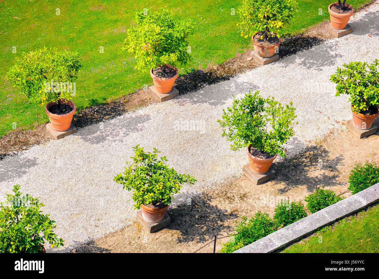 driveway flower pots seen from above aerial Stock Photo