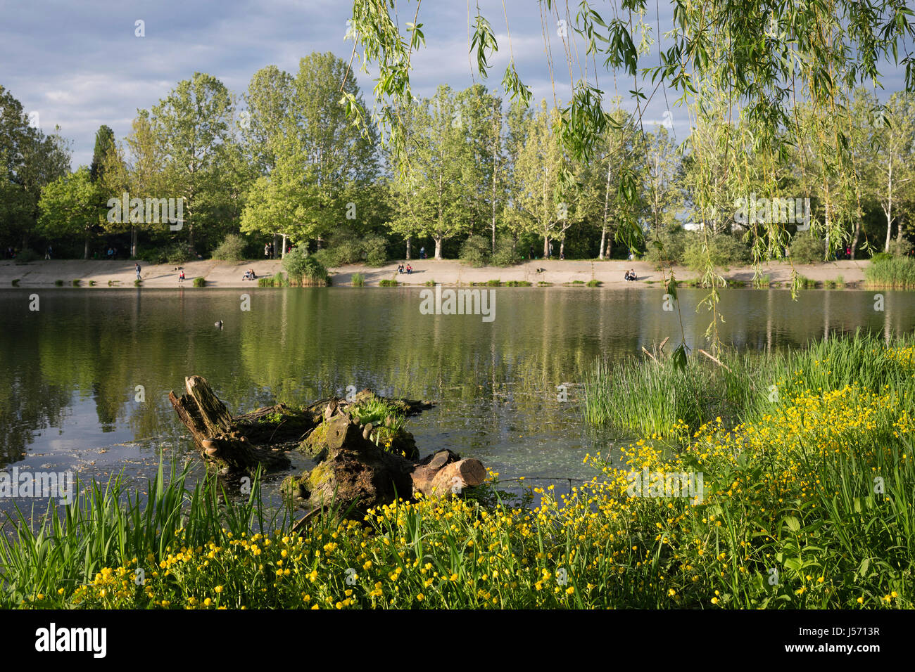 Evening in the park. Park of Valea Trandafirilor in Chisinau. Stock Photo