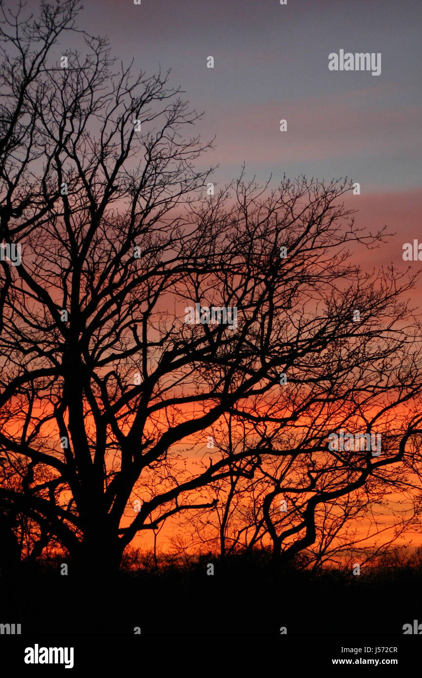 sunset counter-light blood-red shine shines bright lucent light serene luminous Stock Photo