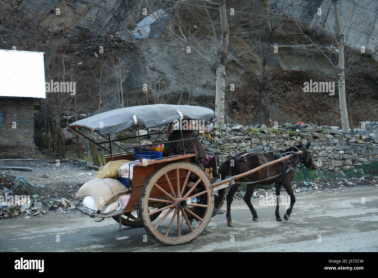 A Tonga or tanga is a light carriage, Kashmir (Copyright © Saji Maramon) Stock Photo