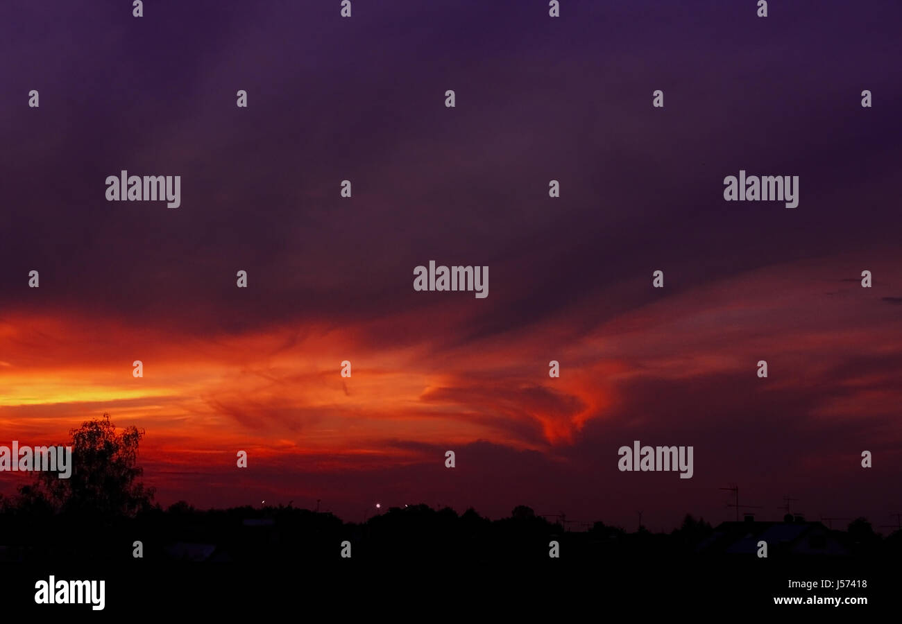 tree sunset mood contrasts colour outlines fascinating firmament sky shapes Stock Photo