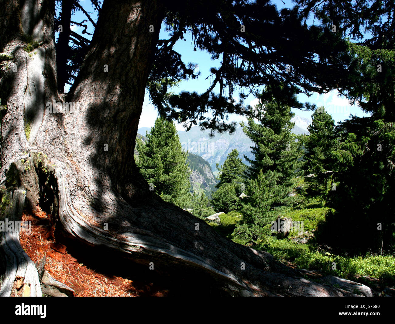 grisons Stock Photo