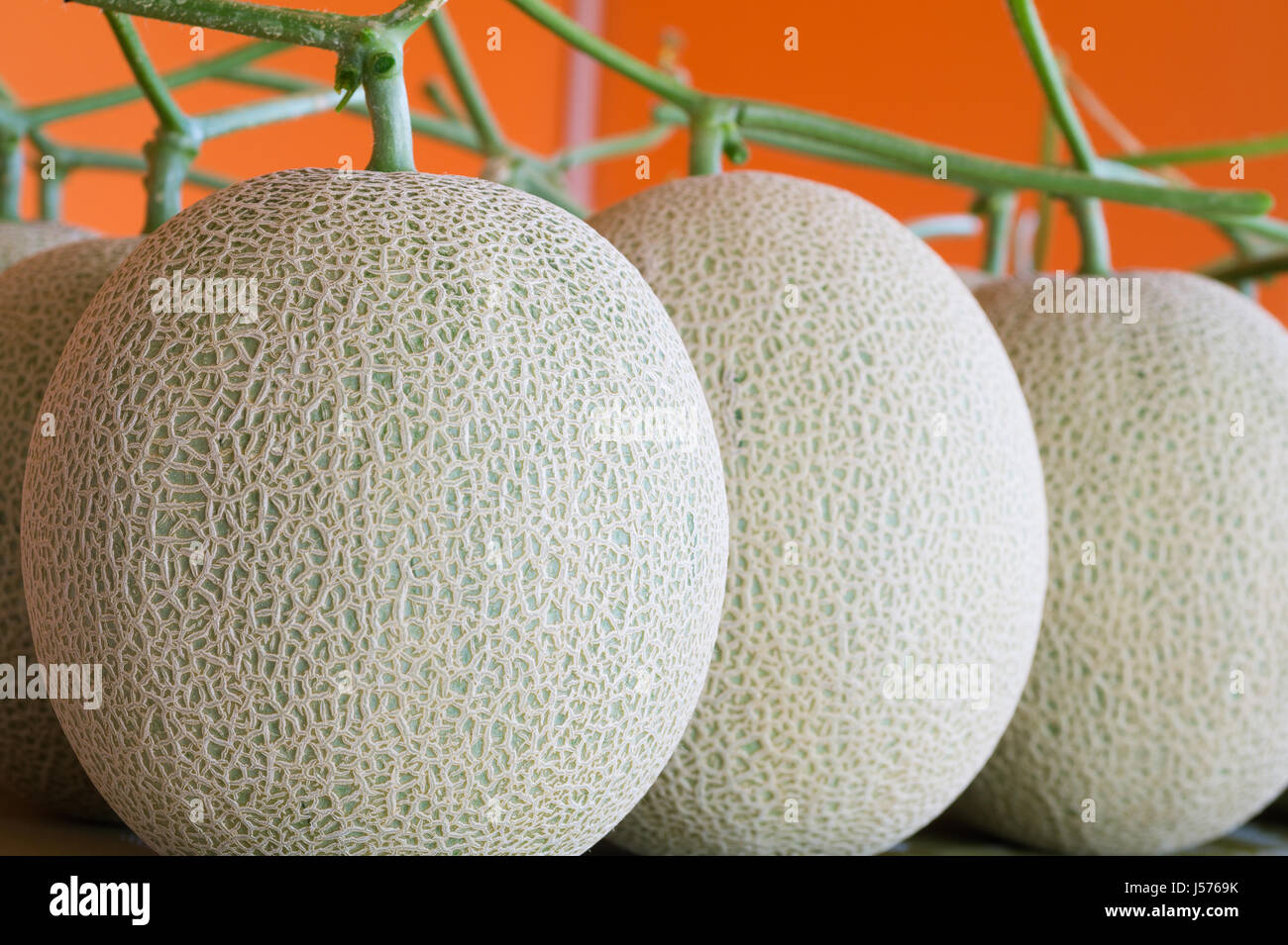 Melon fruits with orange background Stock Photo - Alamy