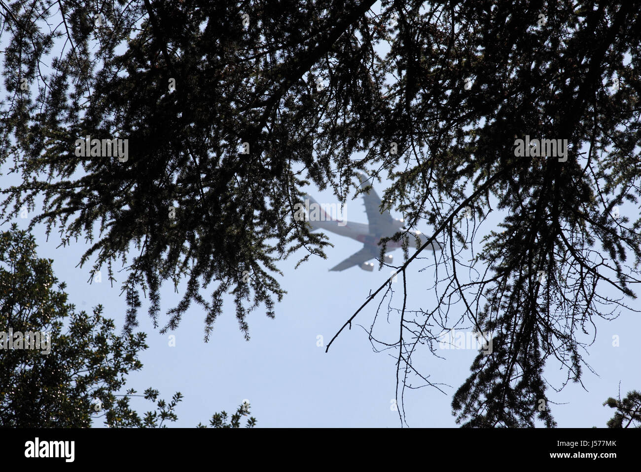 Aeroplane from Heathrow flying low over Kew Gardens, Richmond, Surrey Stock Photo