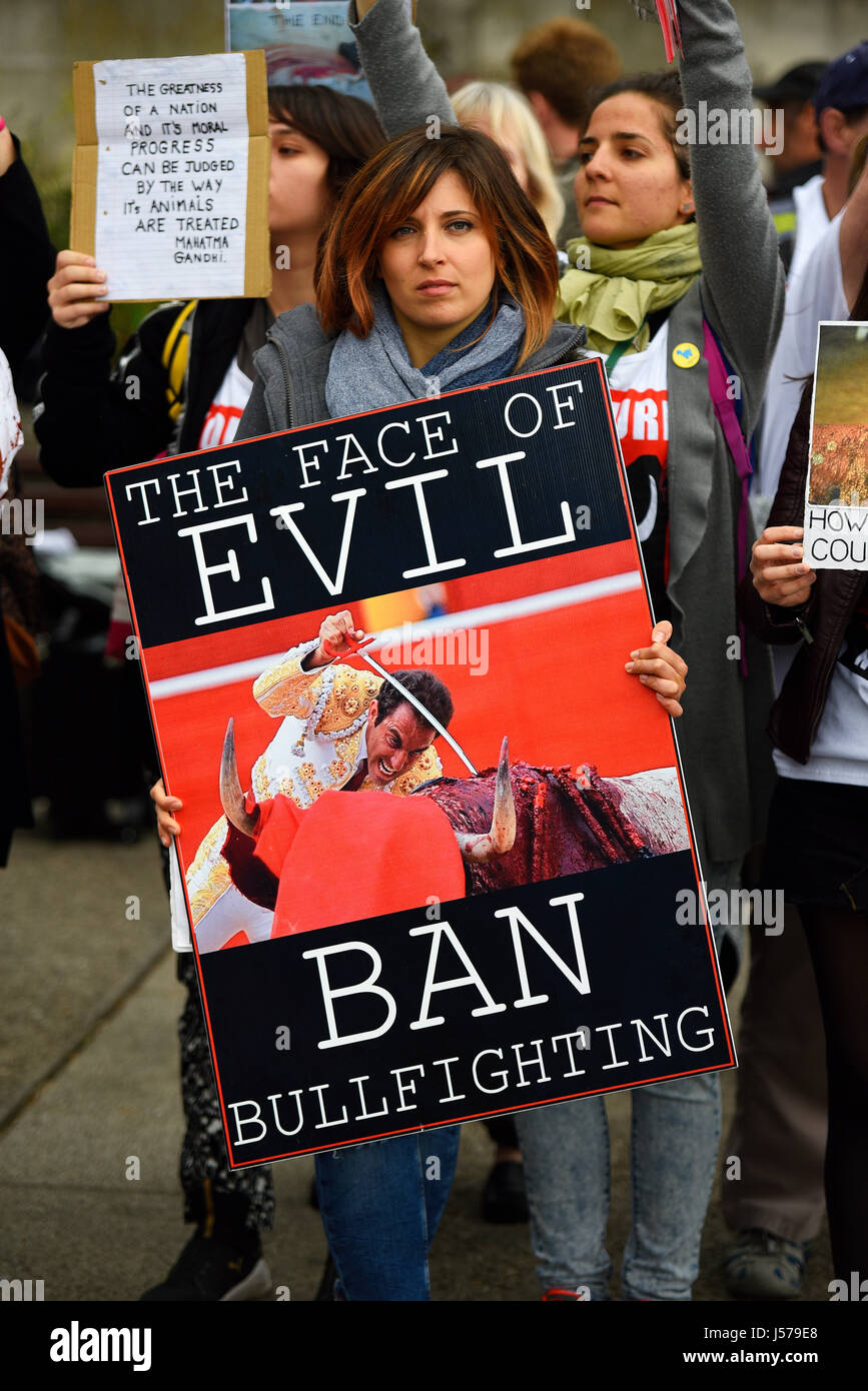 Girl protesting against Bullfighting during a demonstration march which ended outside the Spanish embassy in London. With placards Stock Photo