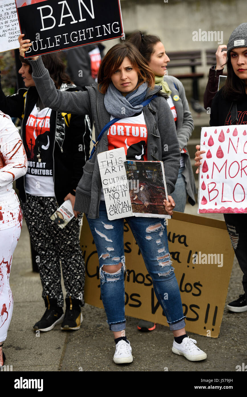 Girl protesting against Bullfighting during a demonstration march which ended outside the Spanish embassy in London. With placards Stock Photo