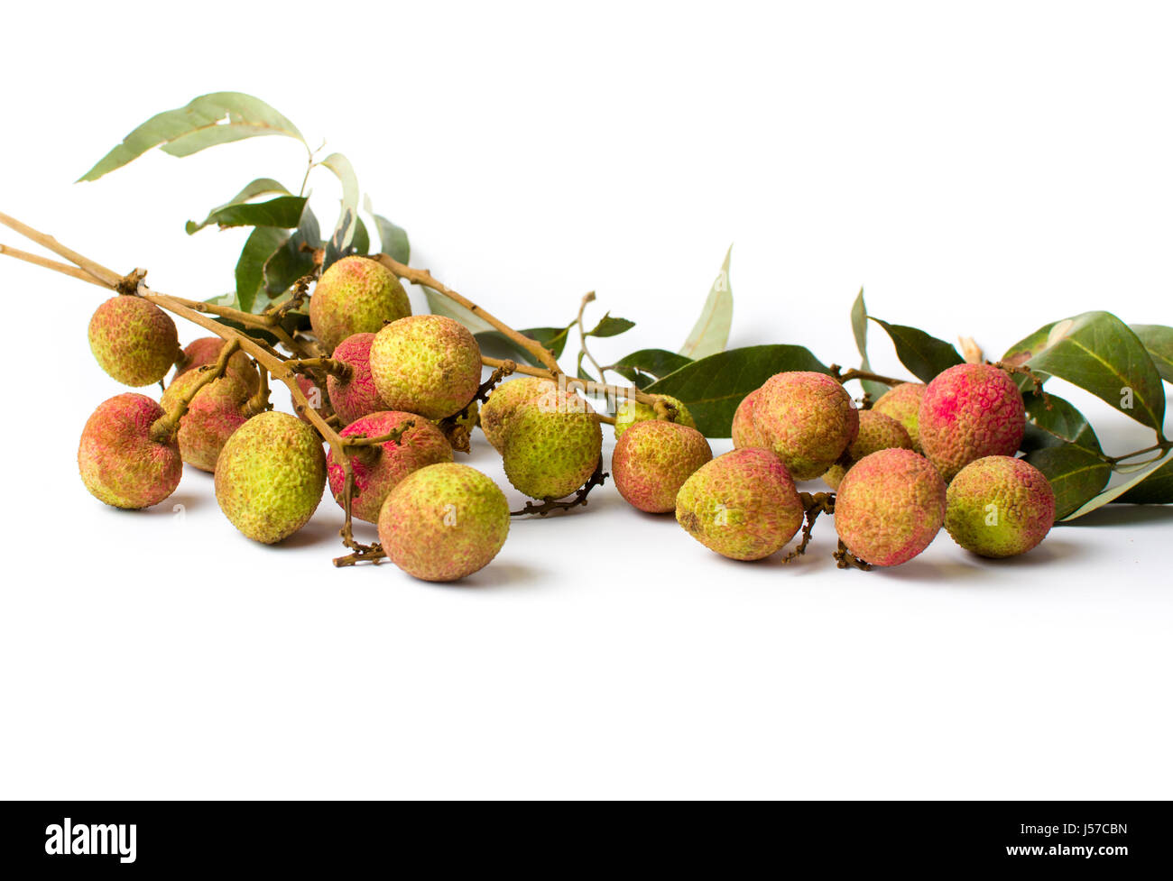 Lychee tropical fruit bouquet on white background Stock Photo