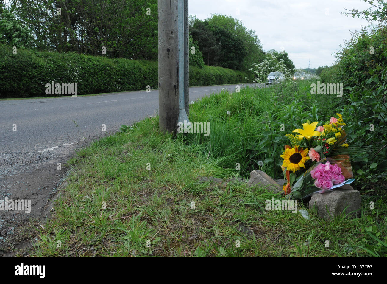 Flowers placed beside the B582 Desford Road near Enderby, Leicestershire, in memory of 16-year-old Megan Bannister, whose body was found on the back seat of a car after a collision involving a motorbike on Sunday. Leicestershire Police is conducting a murder inquiry into the teenager's death. Stock Photo