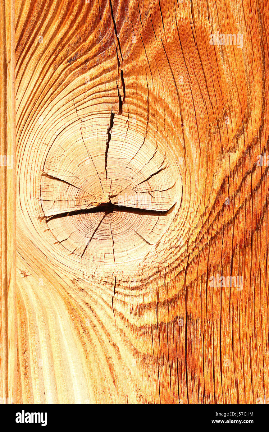 colorful spruce wood texture with knot, ready for your design Stock Photo