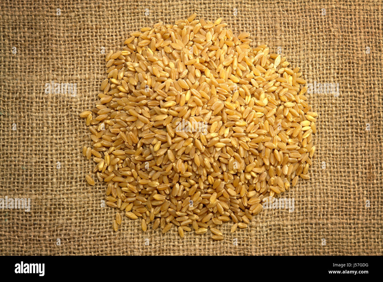 Wheat on Sackcloth Stock Photo