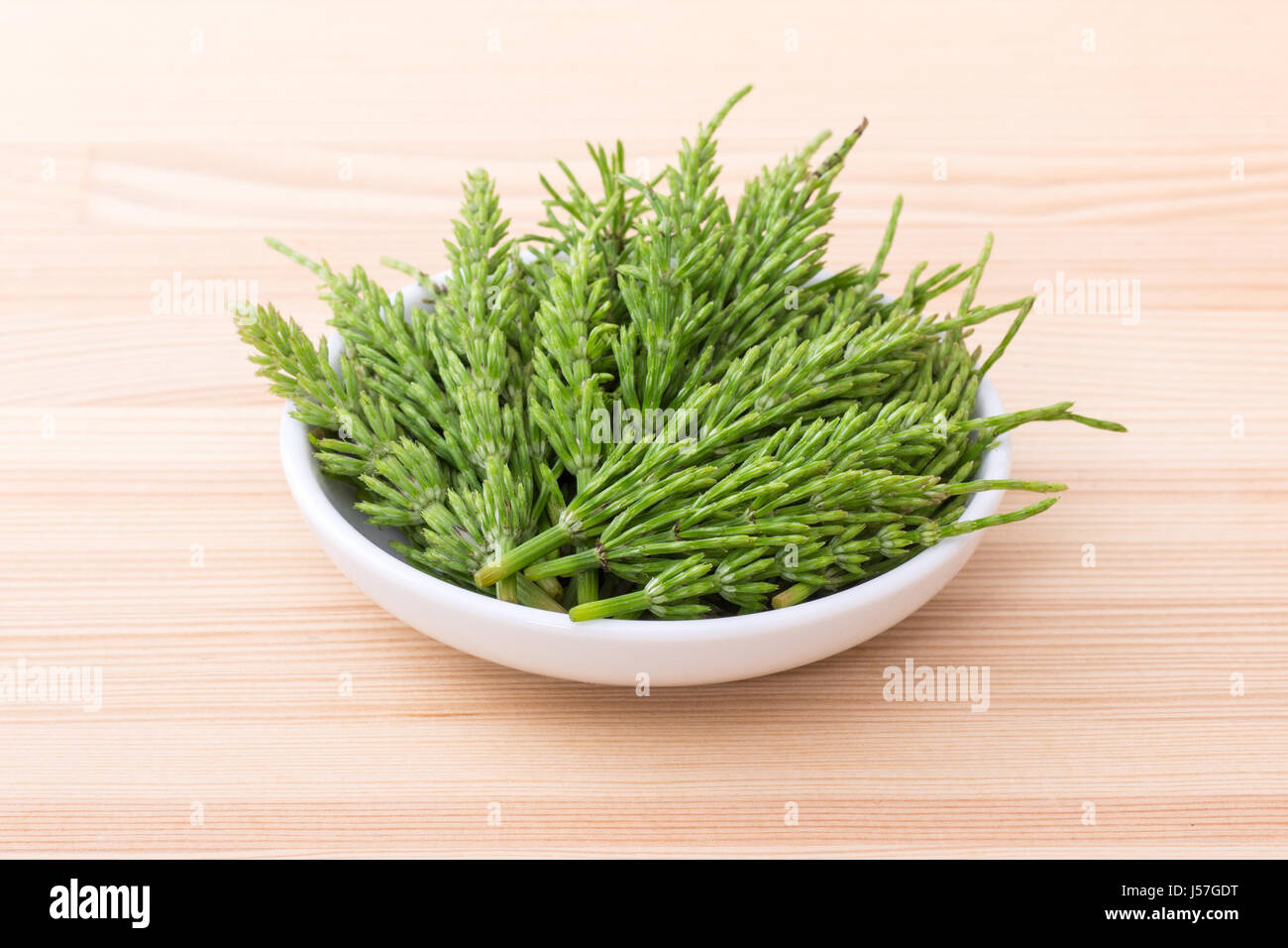 Porcelain bowl with fresh field horsetail Stock Photo