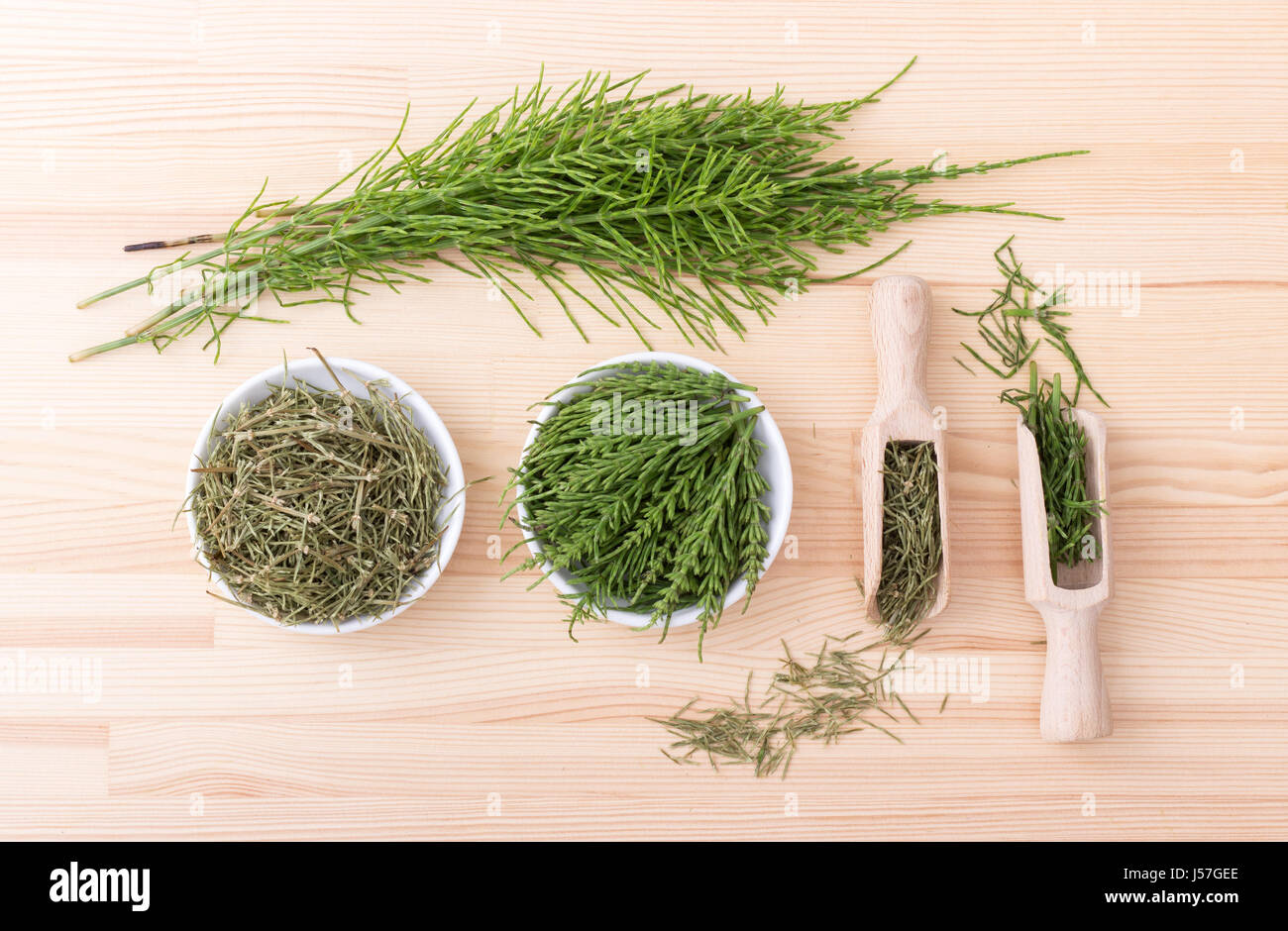 Medicinal plant healing herb hi-res stock photography and images - Alamy