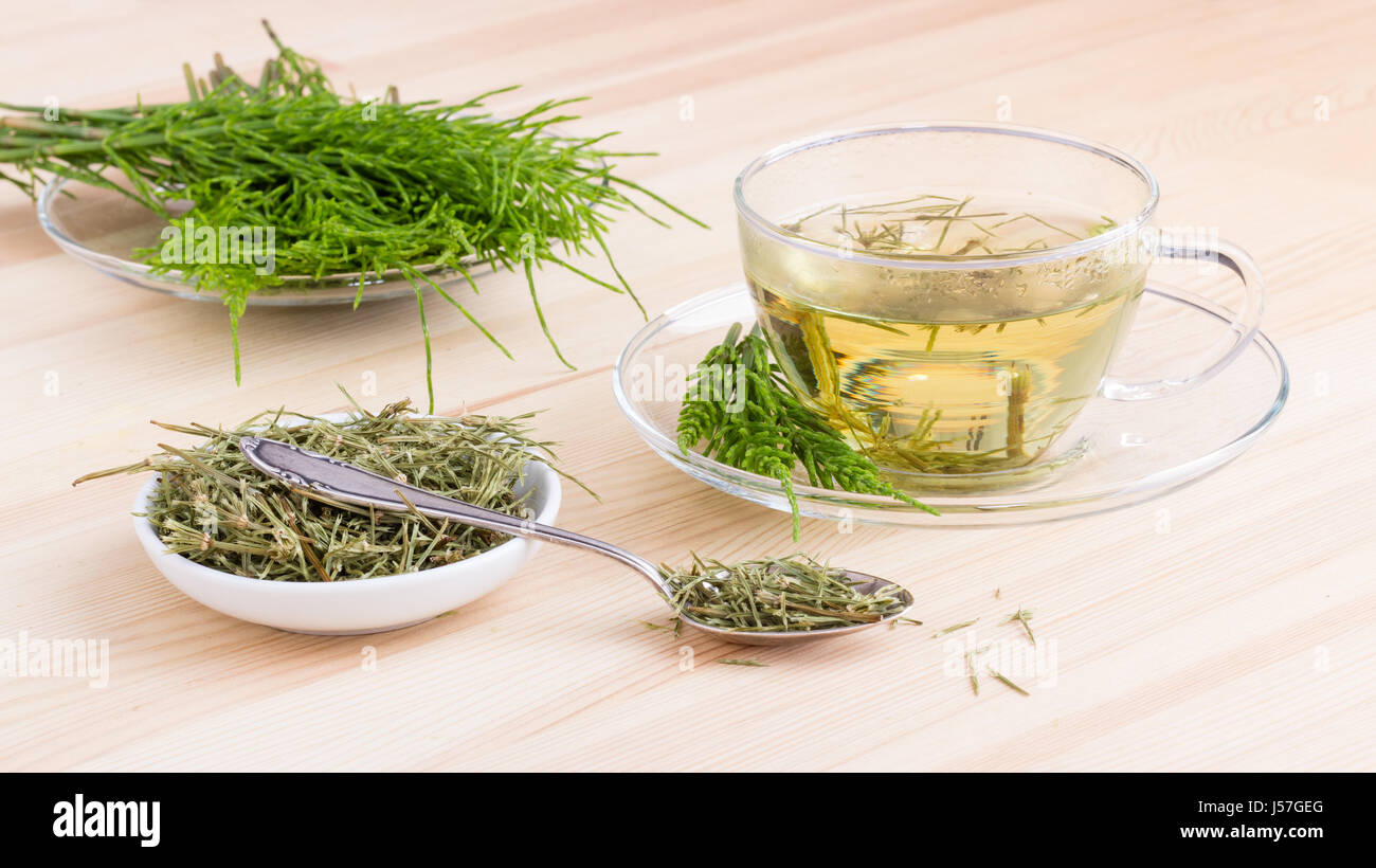 Herbal tea made from field horsetail Stock Photo Alamy