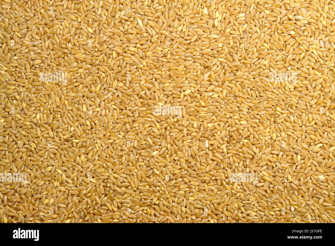 Wheat Grain Texture Stock Photo