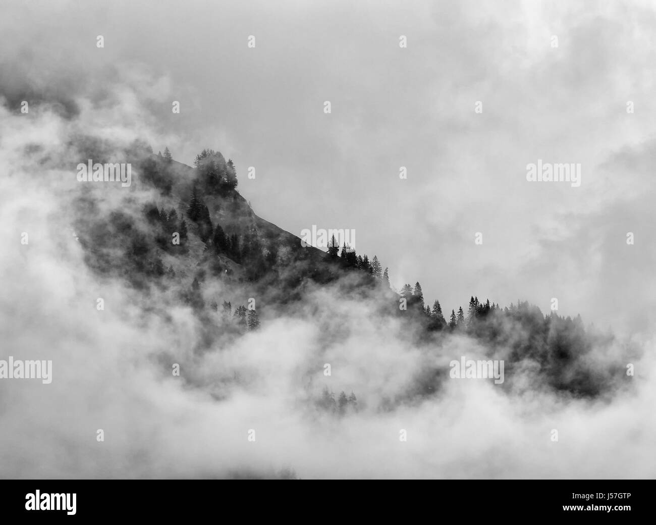 Switzerland mountain side trees enveloped in swirling cloud Stock Photo