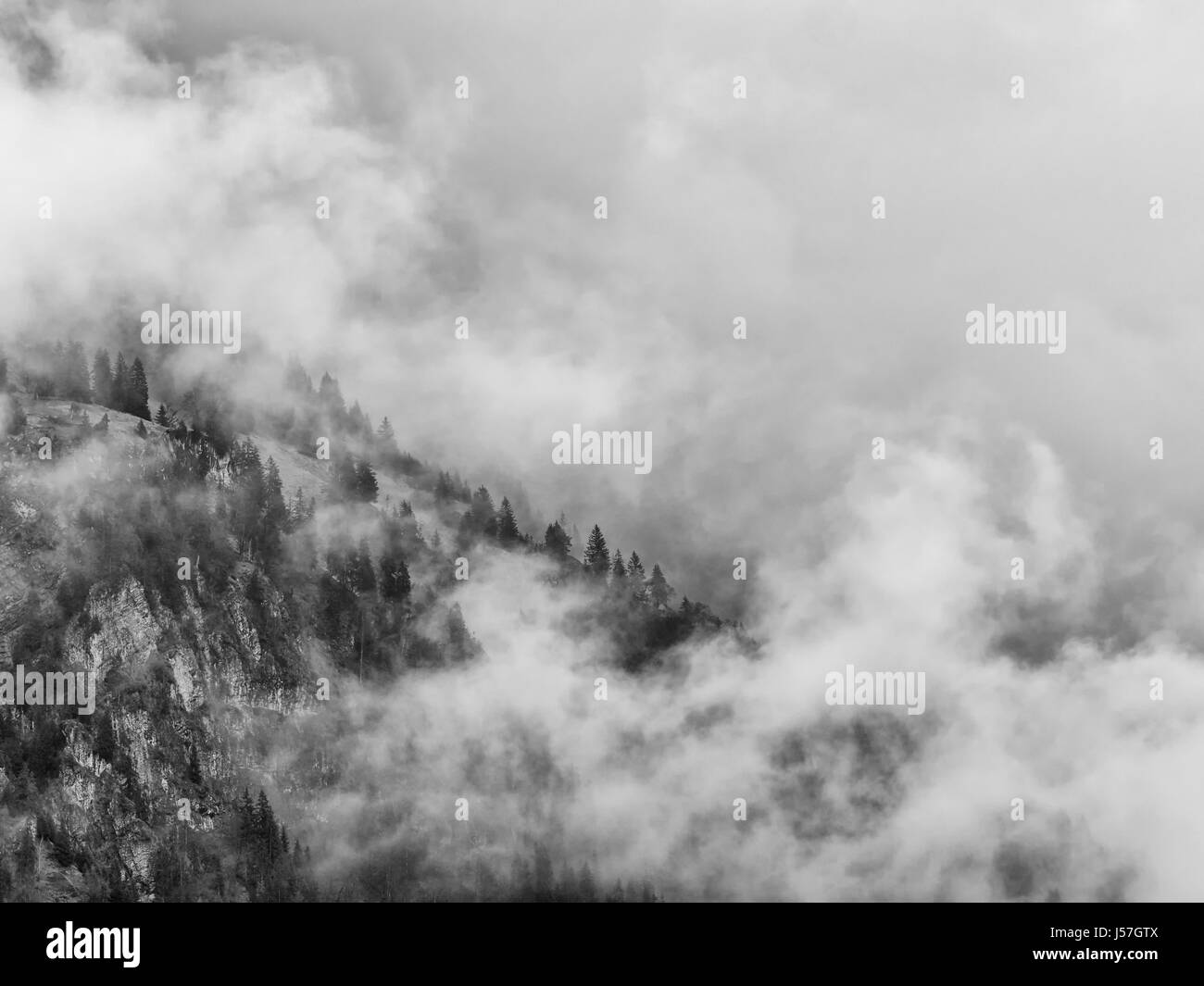Switzerland mountain side trees enveloped in swirling cloud Stock Photo