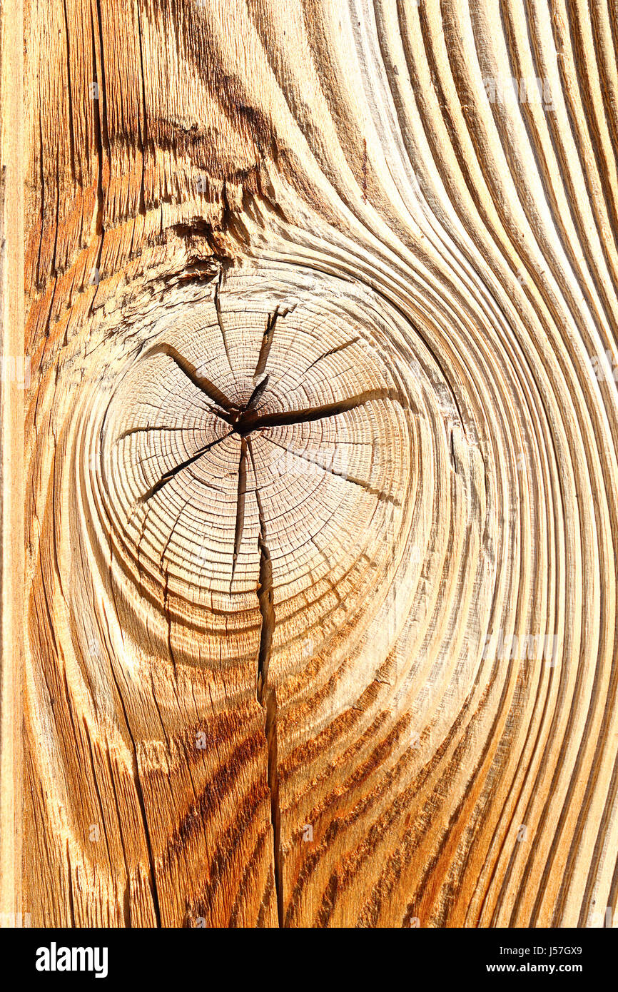 detail of wooden knot on spruce plank, texture for your design Stock Photo