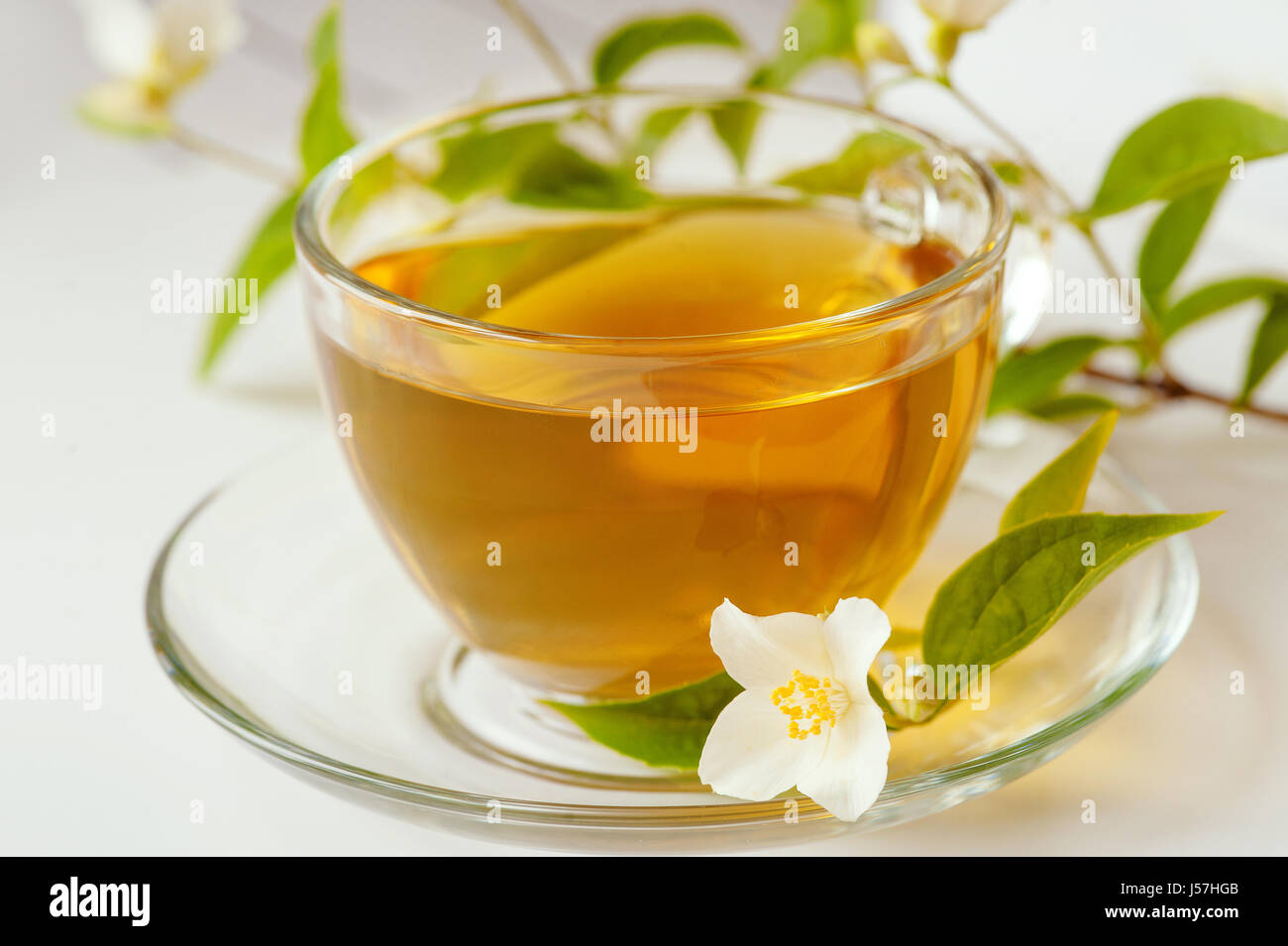 Jasmine tea and Jasmine flowers on a white background Stock Photo Alamy