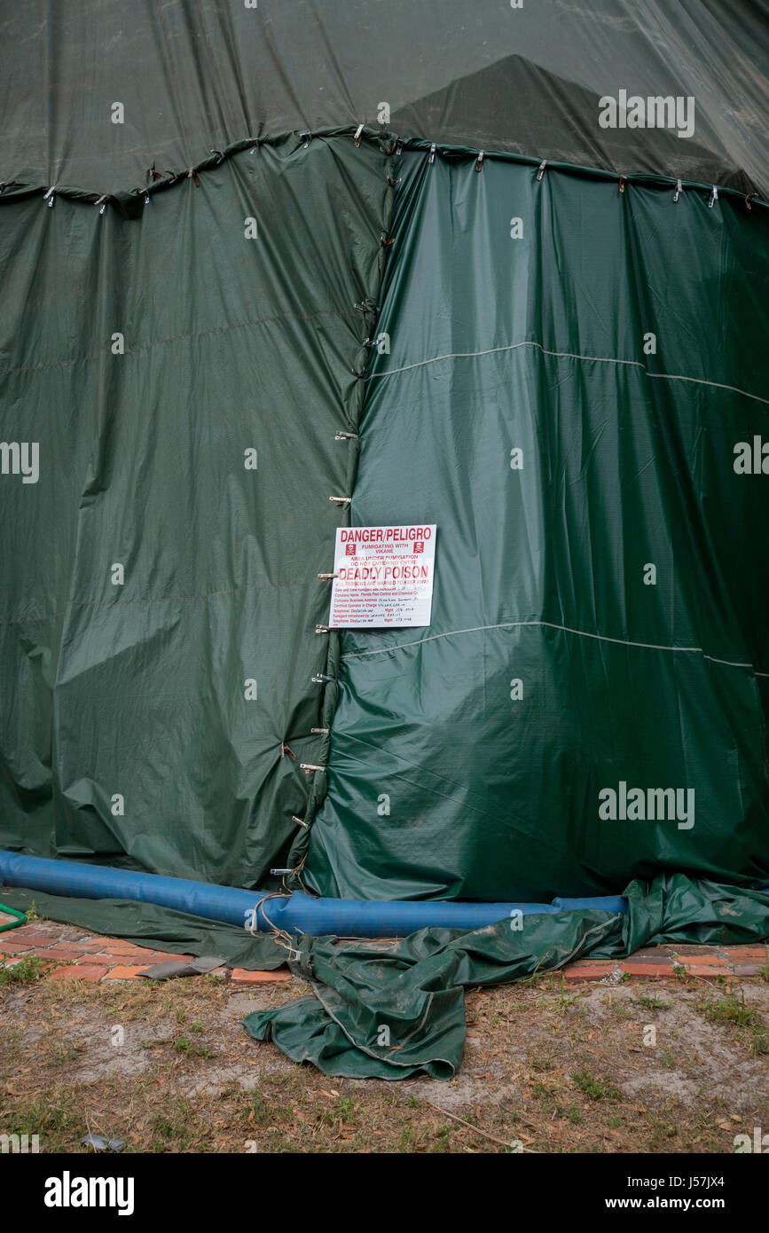 Tent fumigation of home Stock Photo Alamy
