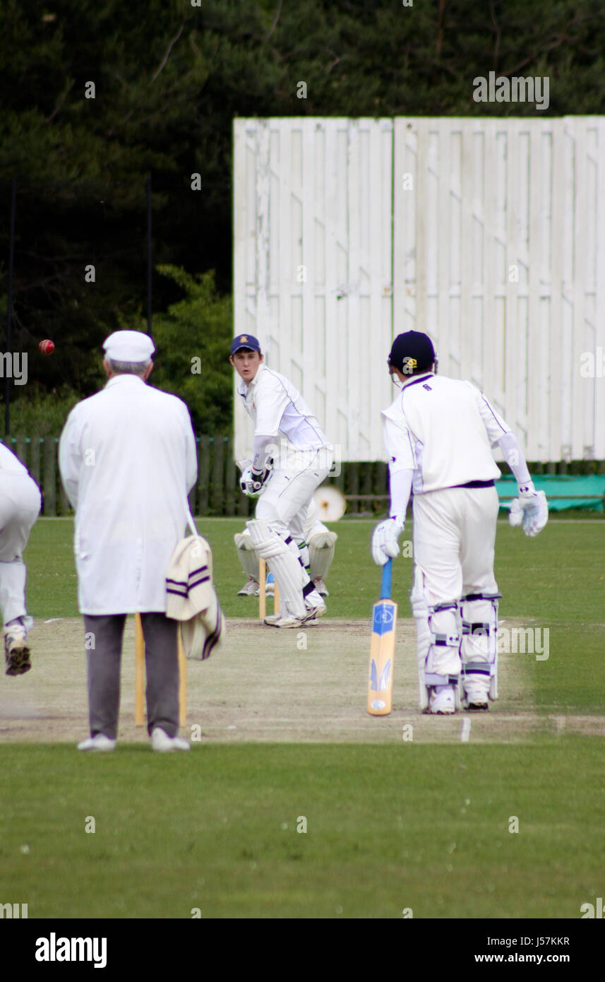 English cricket match Stock Photo