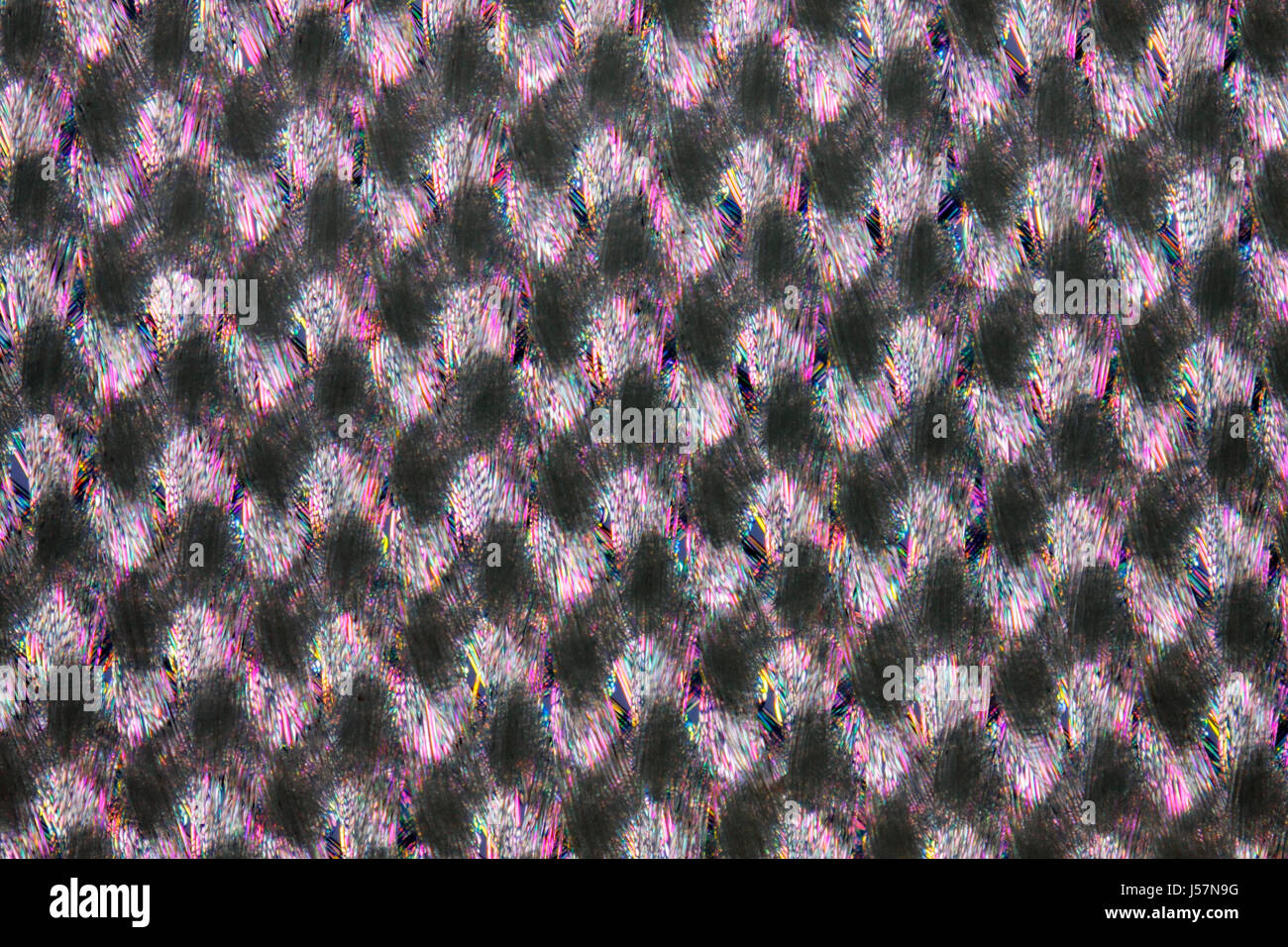 Microscopic view of a nylon cloth. Polarized light, crossed polarizers. Stock Photo