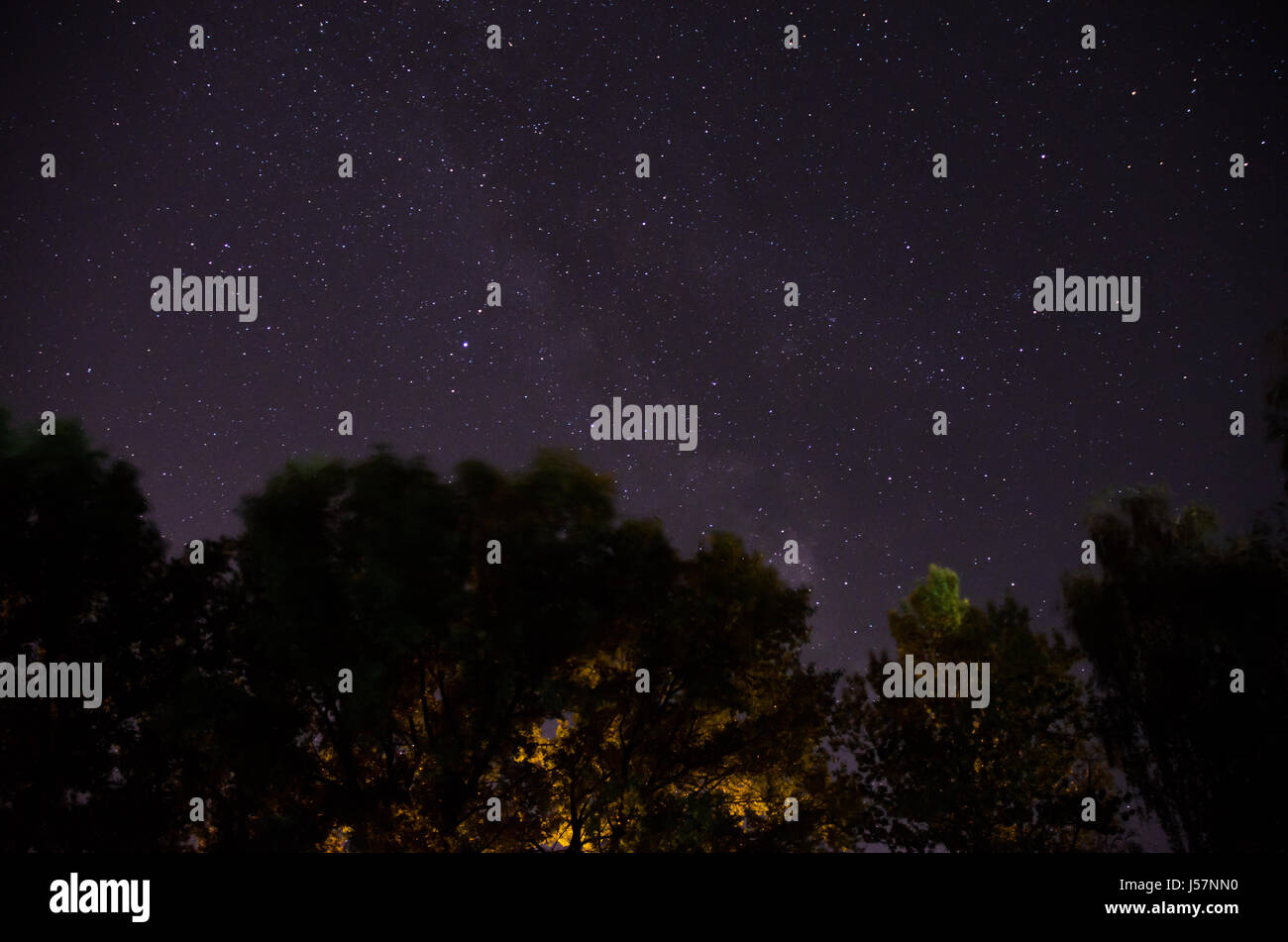 a beautiful night sky, the Milky Way and the trees Stock Photo - Alamy