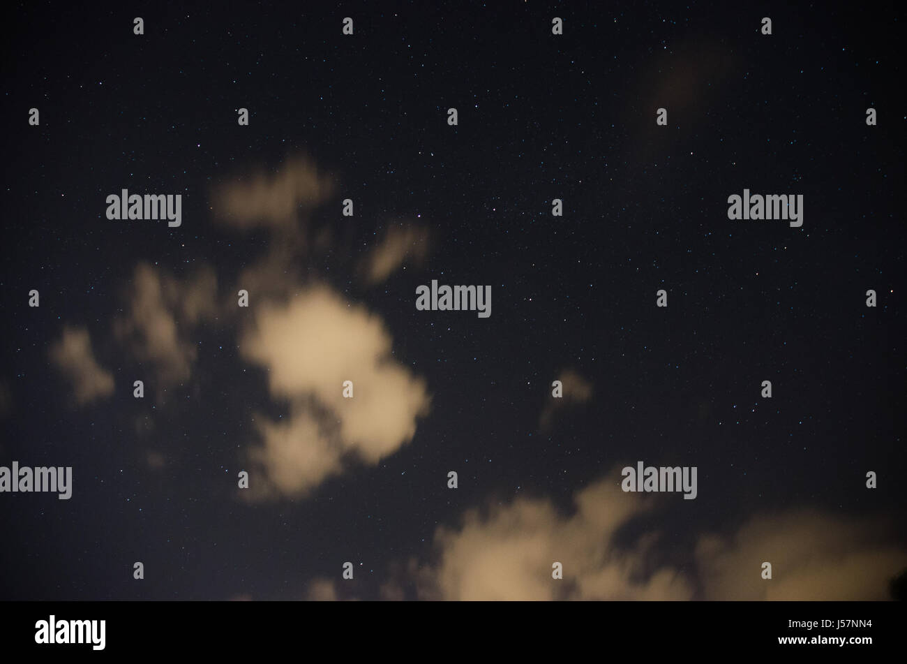 a beautiful night sky, the Milky Way and the trees Stock Photo - Alamy