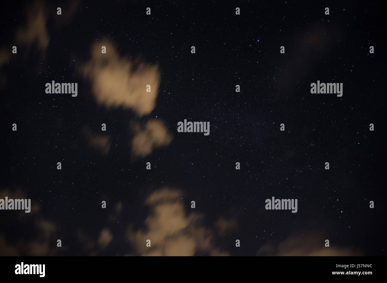 a beautiful night sky, the Milky Way and the trees Stock Photo - Alamy