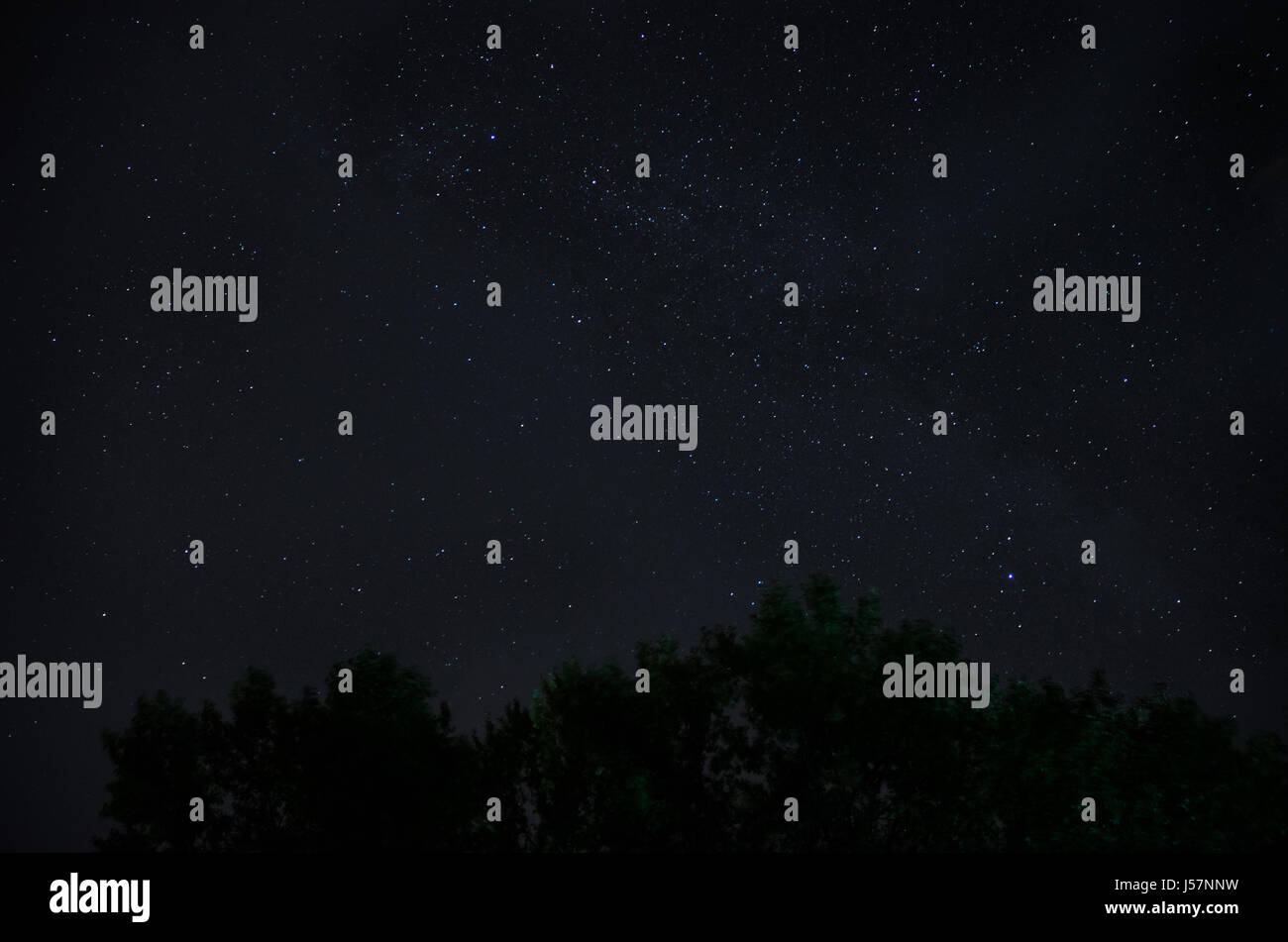 a beautiful night sky, the Milky Way and the trees Stock Photo - Alamy