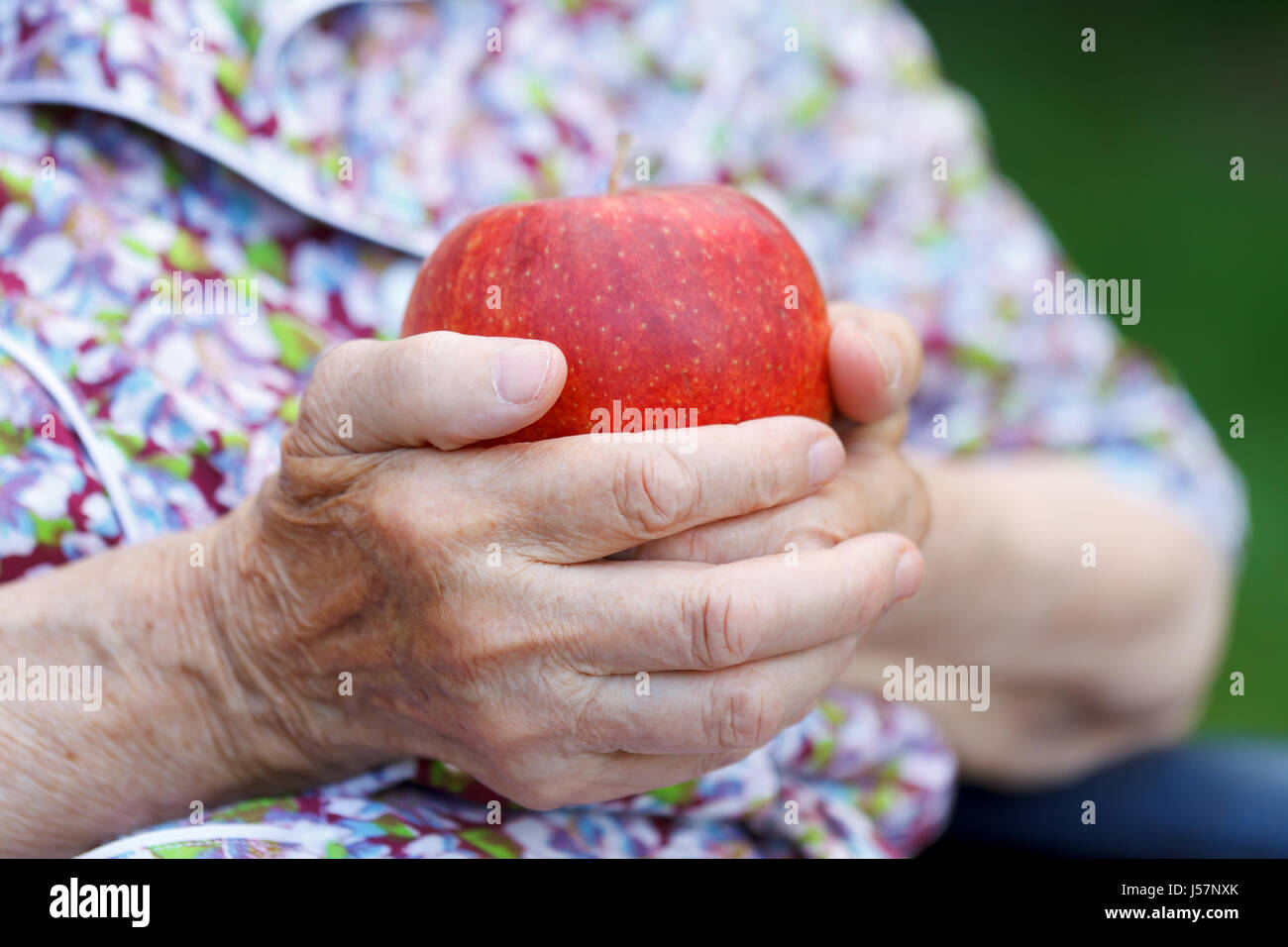 An elderly woman hand holding red apple Stock Photo Alamy