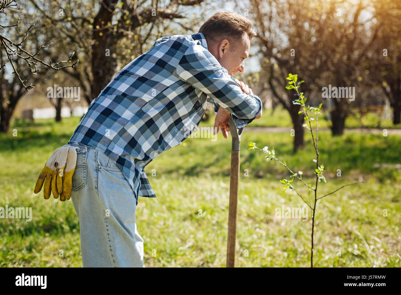 Mature gardener leaning on shovel in backyard Stock Photo - Alamy