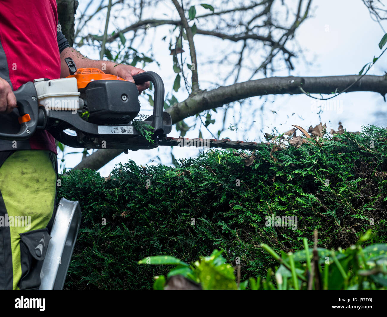 Hedge trimming ladder hires stock photography and images Alamy
