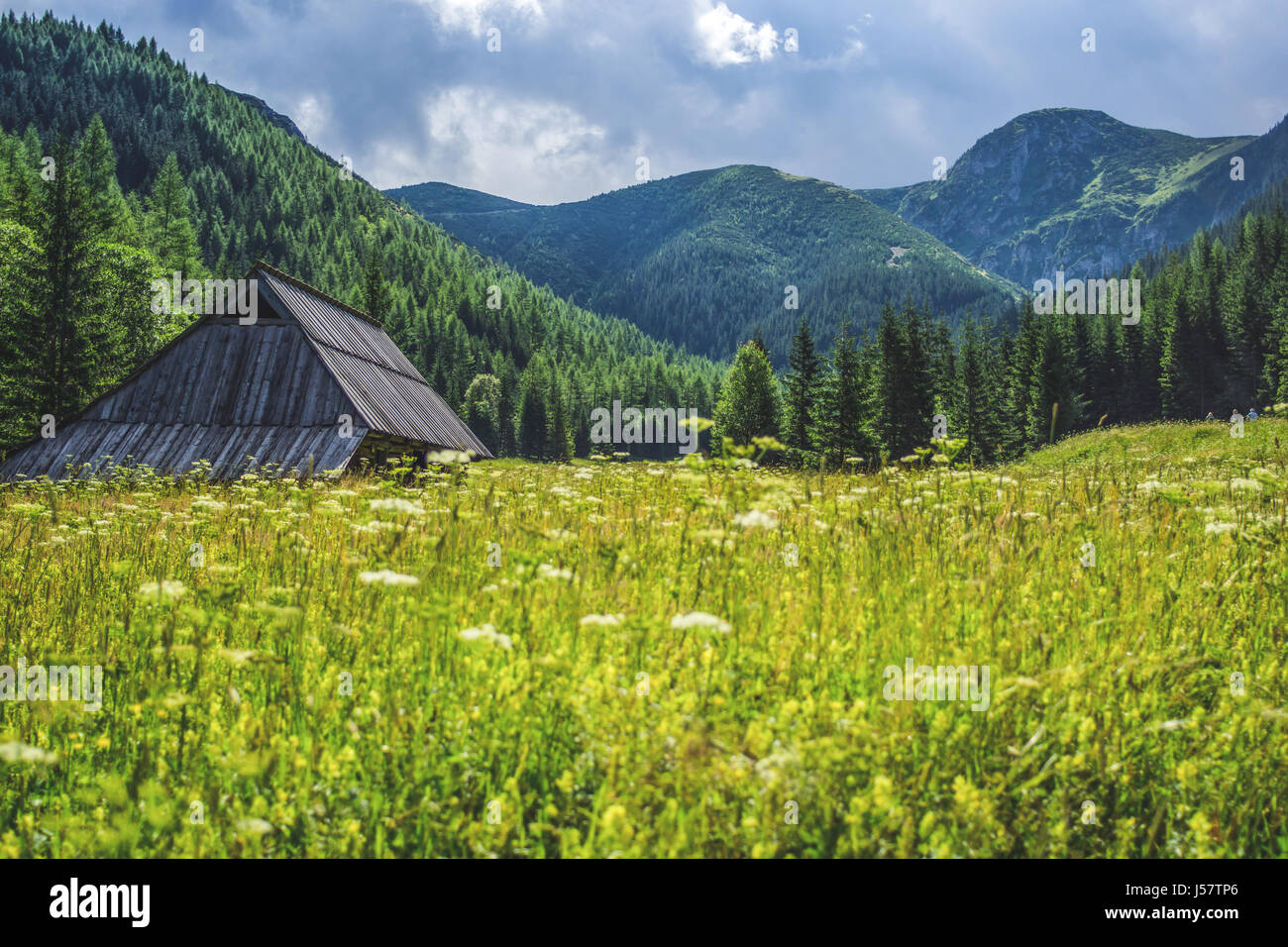 Dolina Jaworzynka, a valley in the Polish Tatra mountains with wooden houses. Stock Photo