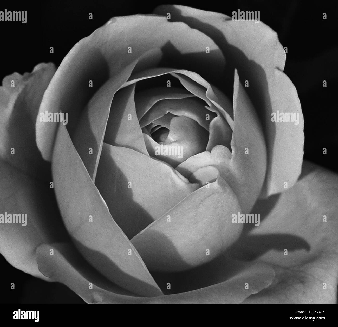 Just One Click Stock Photo Alamy