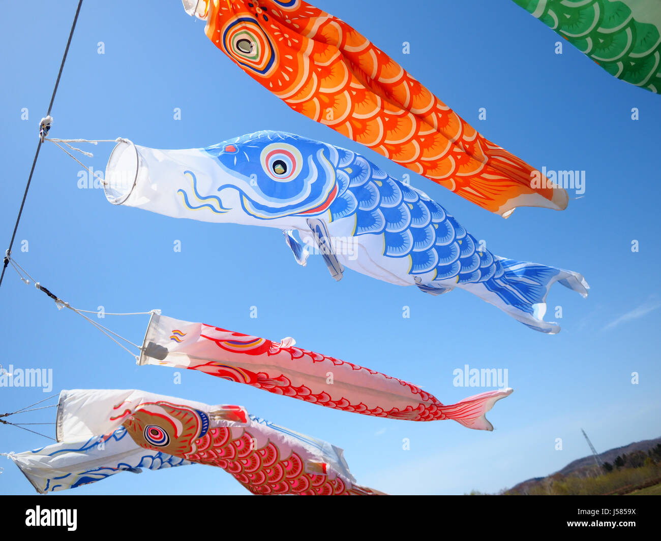 Koinobori Carp Streamer Stock Photo Alamy Koinobori Carp Streamer Stock Photo Alamy