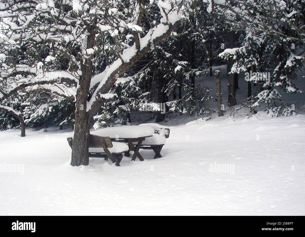 winter calm Stock Photo