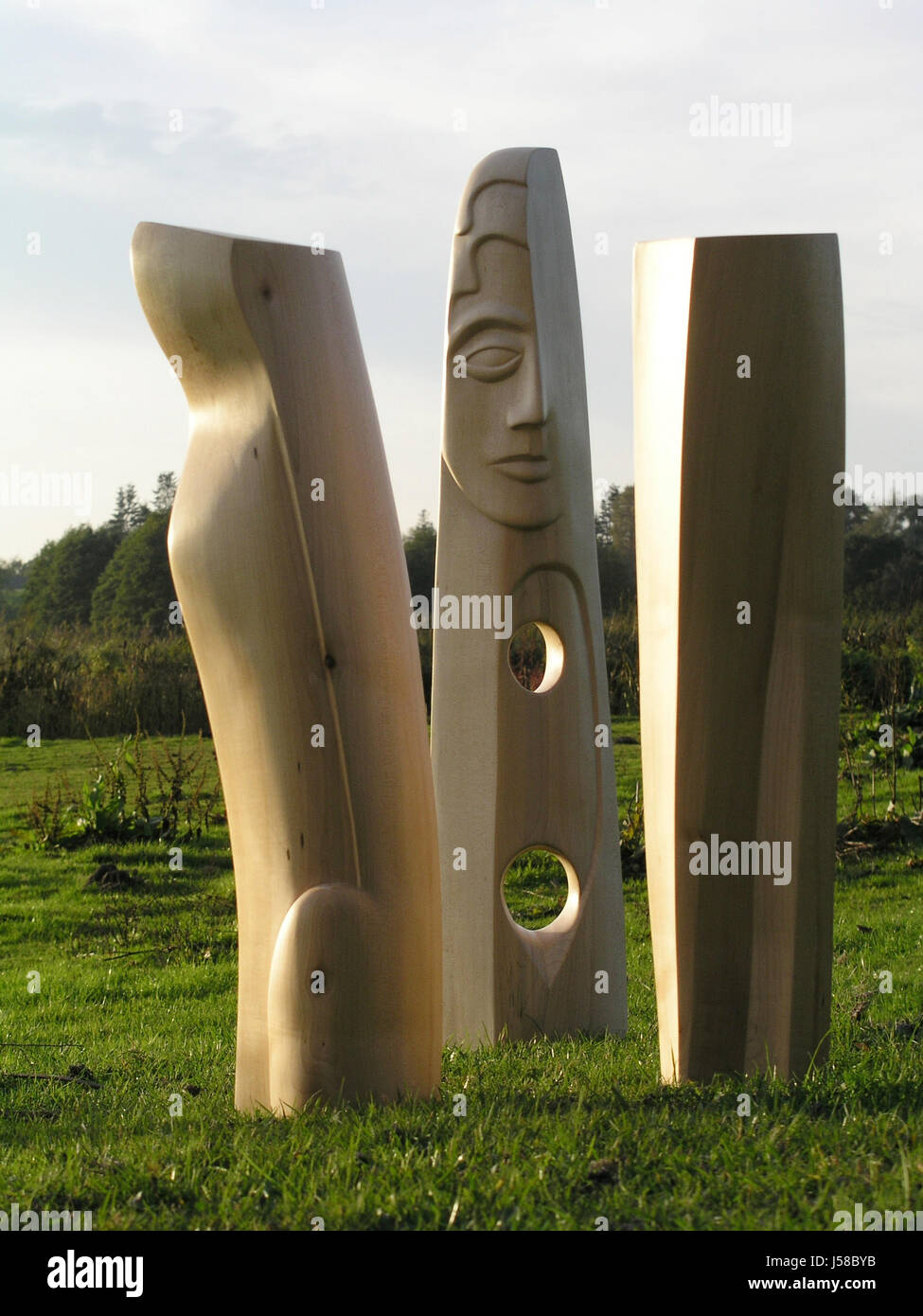 art tree trees wood dusk holes punch materials sculpture sculptures meadow Stock Photo