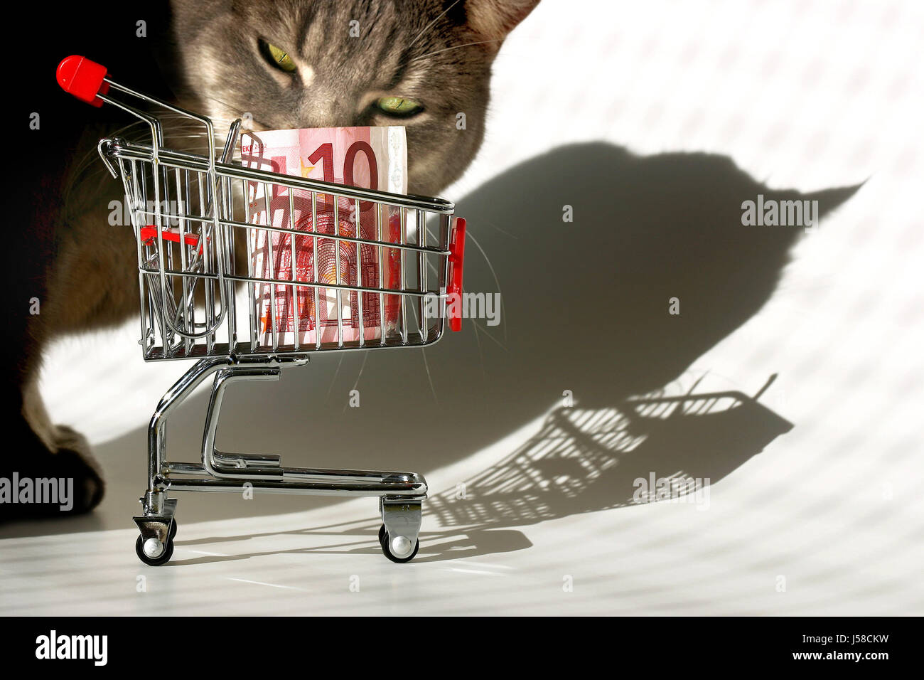 Bargain hunt hires stock photography and images Alamy