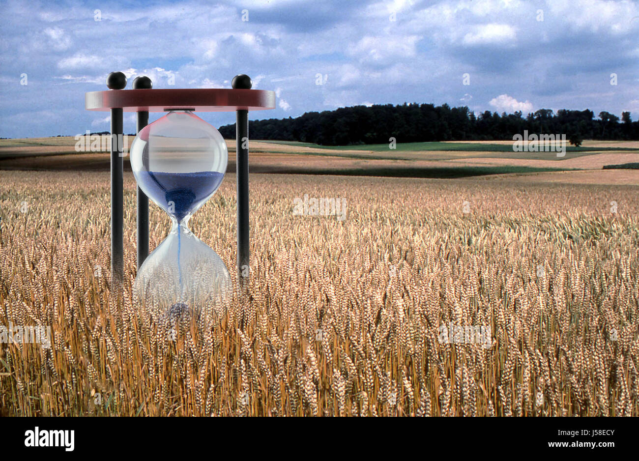 bread agriculture farming field time corn field flour grain field expiry date Stock Photo